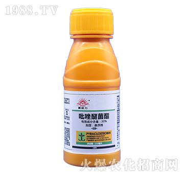 30%�����׾���-��