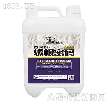 �~�����ͱ����ܴa-�L�`