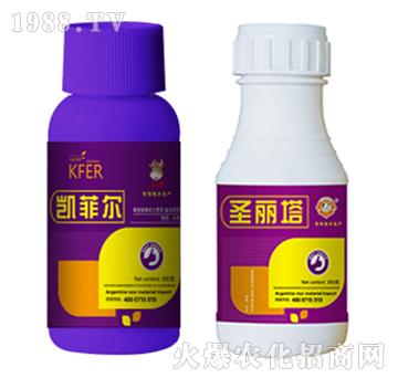 �{(di��o)��(ji��)��-�P�Ơ�+ʥ����