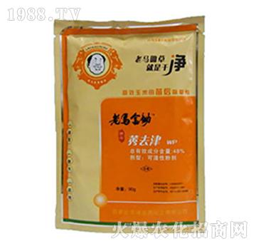 ݬȥ��-���R���z-����