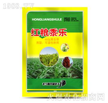 48%ݬȥ��-�t�Z��