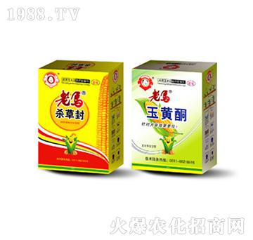 ���R�s�ݷ�+���R���Sͪ