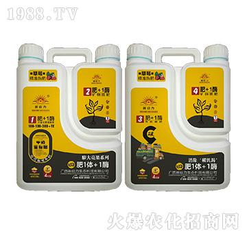 ��ݮ���ã����������-