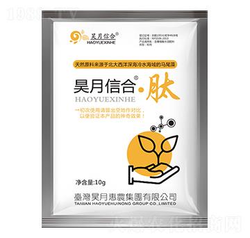 昊月信合·肽-昊月惠農(nóng)