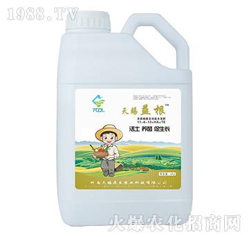 含腐殖酸多功能水溶肥11-6-13+HA+TE-天賜益根-天賜鼎立