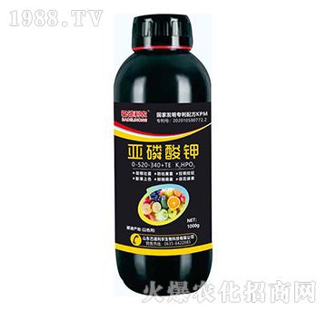 亞磷酸鉀0-520-340+TE-巴德利農(nóng)