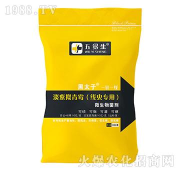 ���x���õ��ϔM��ù-��̫��-������