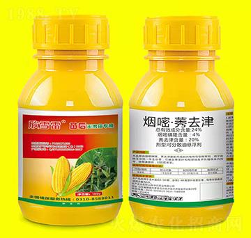 玉米田苗后專用除草劑-欣雪雷