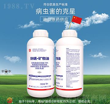 73%Ȳ�M���V����-��