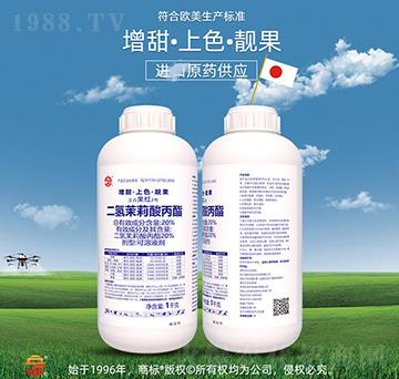 20%�������������-