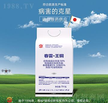 50%���ס����~-��ռ