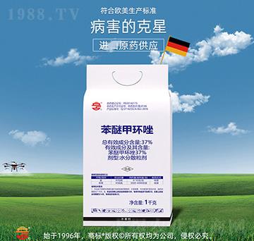 37%���Ѽ׭h(hu��n)��-��ռ