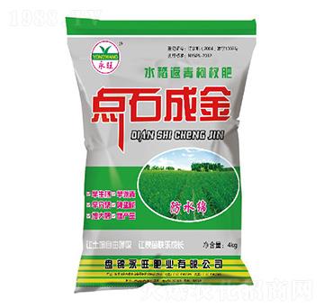 水稻返青柯杈肥-點(diǎn)石成金-永旺肥業(yè)
