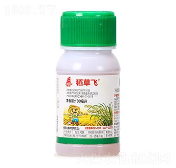 20%�������-�����w-ϲ�S��