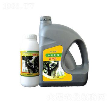 古樹復壯營養(yǎng)靈-世家-科海聯(lián)邦