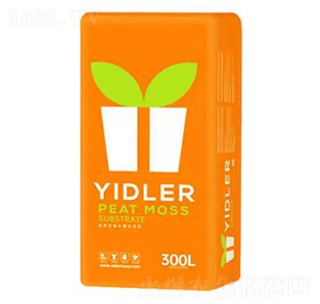 �M��̦�\��̿������|-�۱���