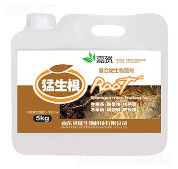 復(fù)合微生物菌劑-猛生根-貝能生物