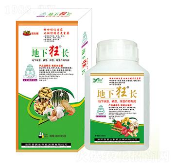 ���K�o���[�o�����o����� ���¿��L ����