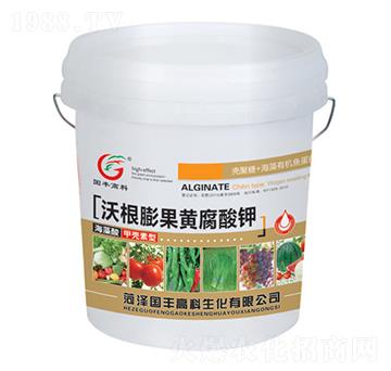 ����Һ�ָ�����S�����-���S�߿�