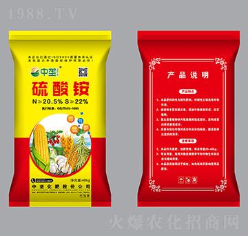 �����@-�Љ�