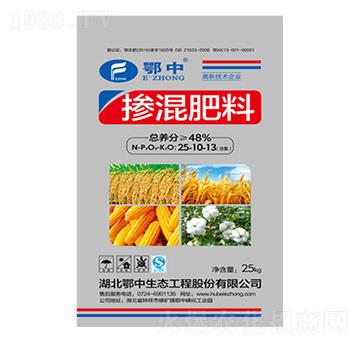 ���죨BB����25-1