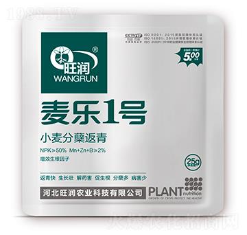 С�����Y����-����1̖