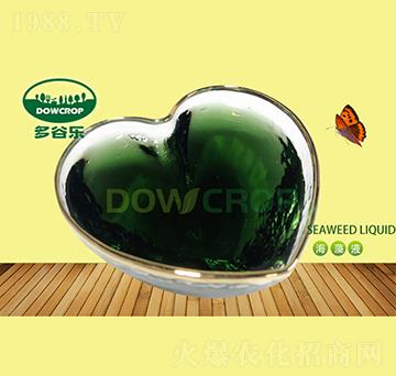 Һ�w�����-��Ș�