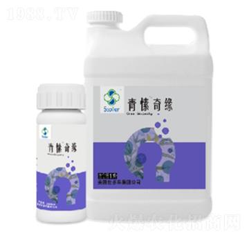 ����澉-������(l��)