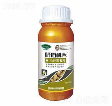 馬鈴薯專用-哈伯利夫