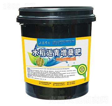 水稻返青增蘗肥（20kg）-云臺