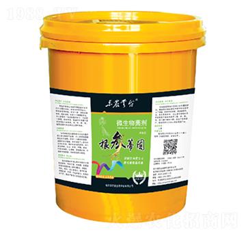 根深蒂固微生物菌劑-云臺