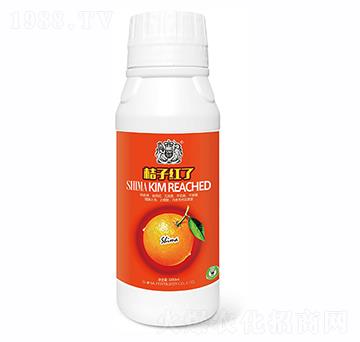 桔子紅了-獅馬肥業(yè)