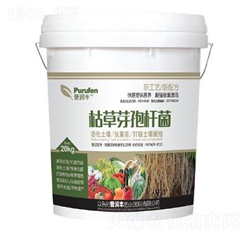 枯草芽孢桿菌-普潤豐