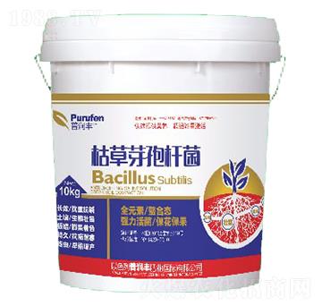 10kg枯草芽孢桿菌-普潤(rùn)豐