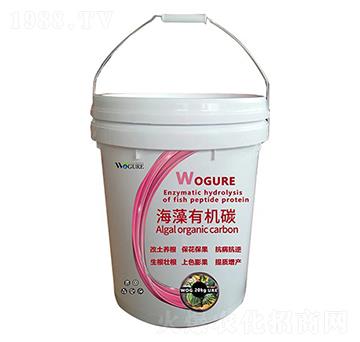 �����ЙC̼-�ָ���