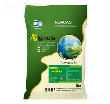 ������ͺϷ���-�~����