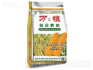 �ЙC(j��)�LЧ�͏�(f��)�Ϸ�24-11-8-�fֲ2̖