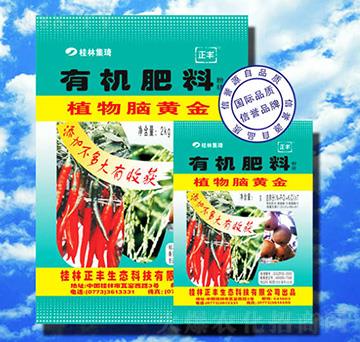 有機肥料-植物腦黃金-正豐生態(tài)