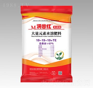 大量元素水溶肥料19-19-19+TE-滿谷紅-金谷配方肥