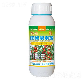 枸杞膨果靚果寶-浩達(dá)生物