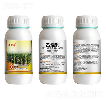 40%��ϩ��-���_��-ȫ�S