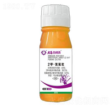 43%2�ס��ȷ���-��