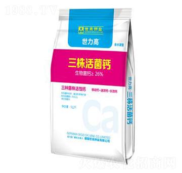 ȫˮ�����������}-����������