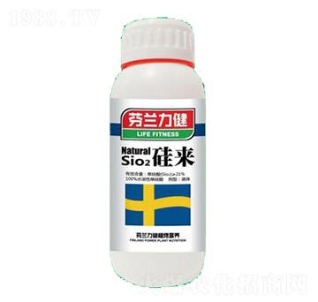 硅來(lái)-世力高生物