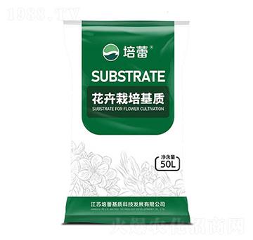 ������ľ������|(zh��)-����