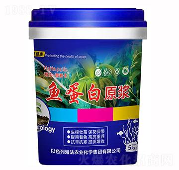 魚(yú)蛋白原漿-普洛特