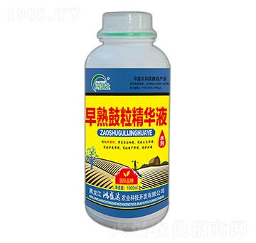 早熟鼓粒精華液-鴻盛達(dá)