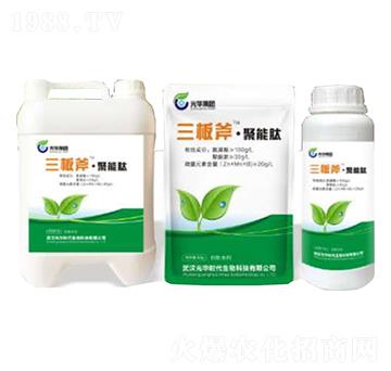 三板斧聚能肽-光華時(shí)代