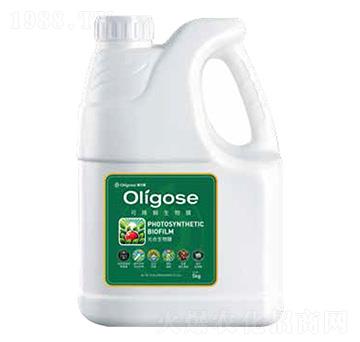 �ɽ���������Ĥ-������