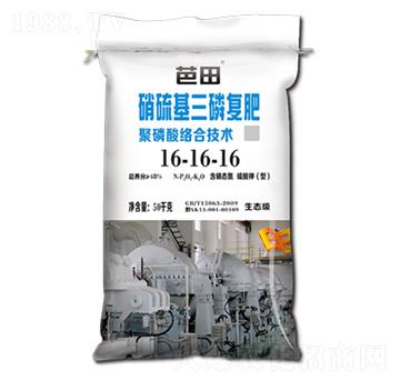 ��������׏�(f��)��16-1